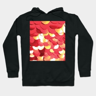 Photographic Image of Red Sequins Hoodie